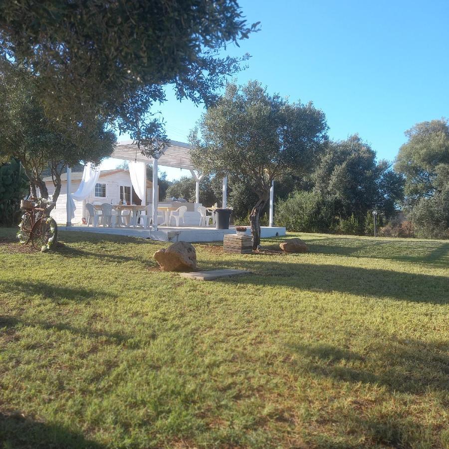 B&B Gli Ulivi SantʼAnna Arresi エクステリア 写真