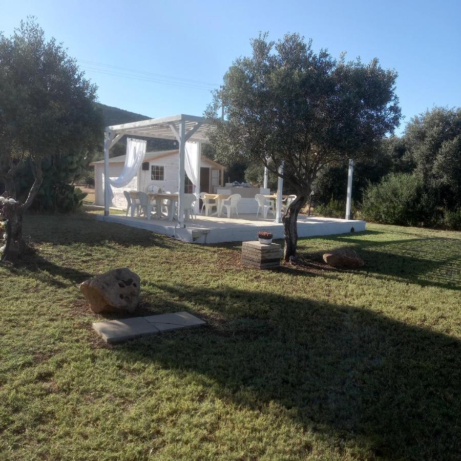 B&B Gli Ulivi SantʼAnna Arresi エクステリア 写真