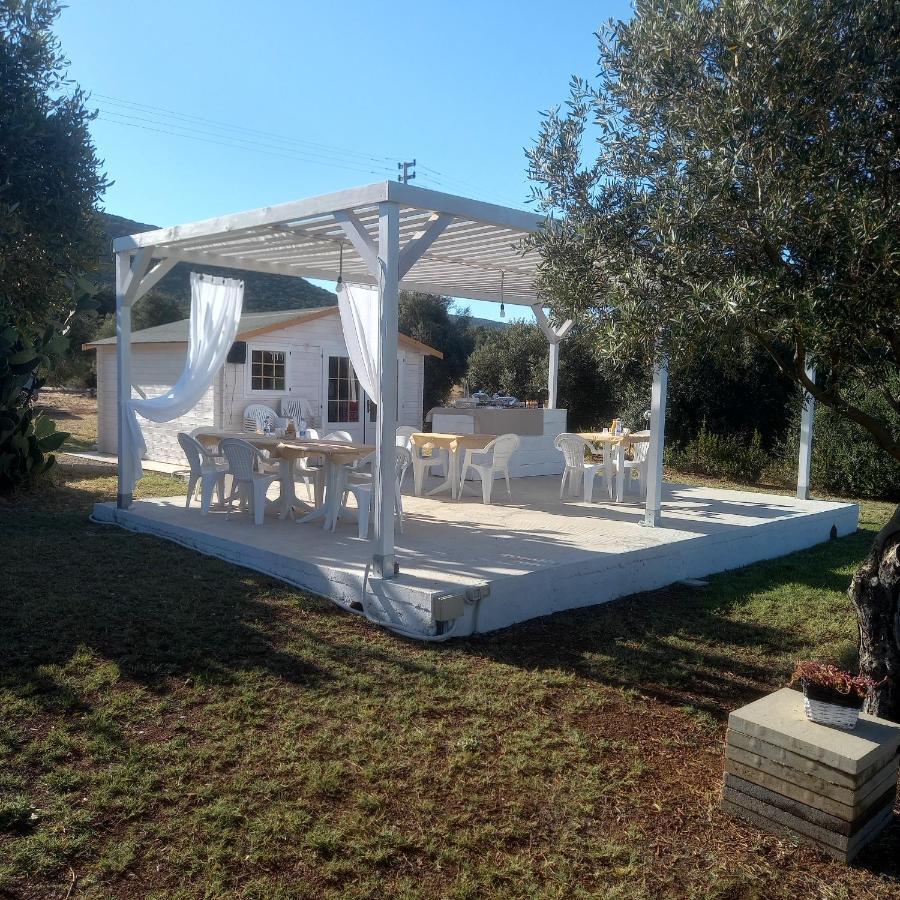 B&B Gli Ulivi SantʼAnna Arresi エクステリア 写真