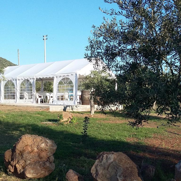 B&B Gli Ulivi SantʼAnna Arresi エクステリア 写真